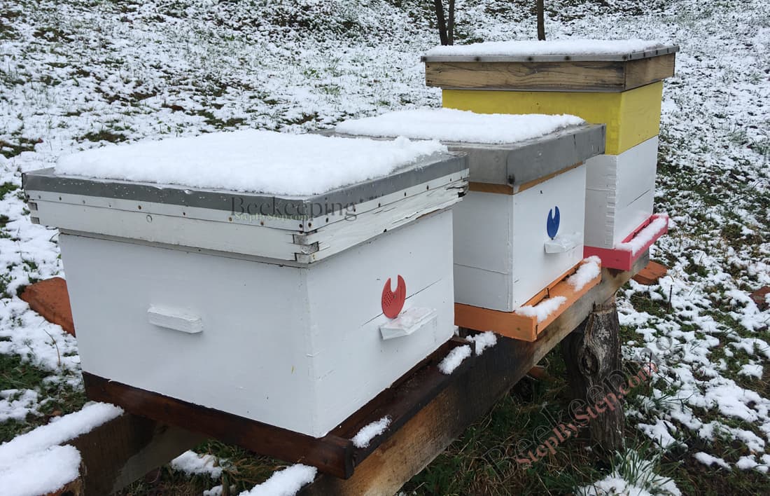 Snow on beehives 