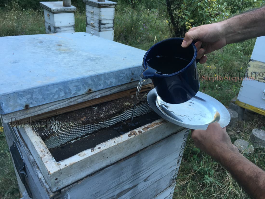 Feeding bee colony