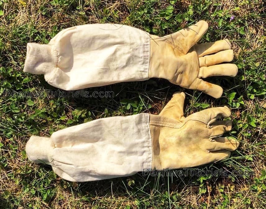 Beekeeping gloves 