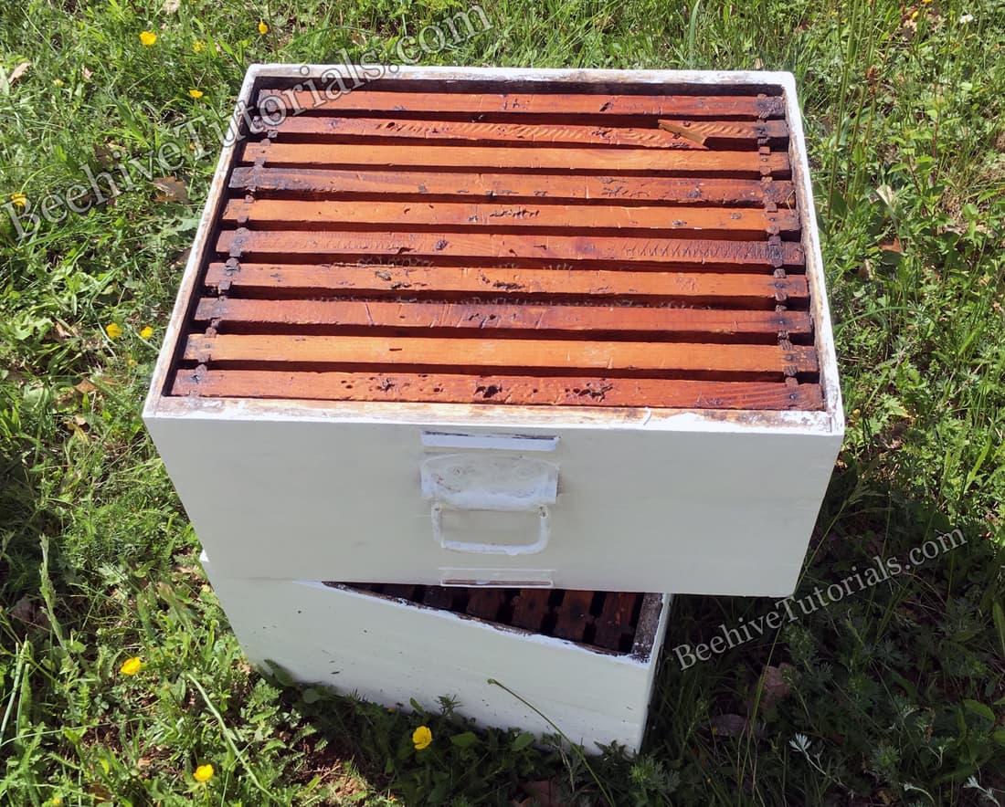 Hive boxes 