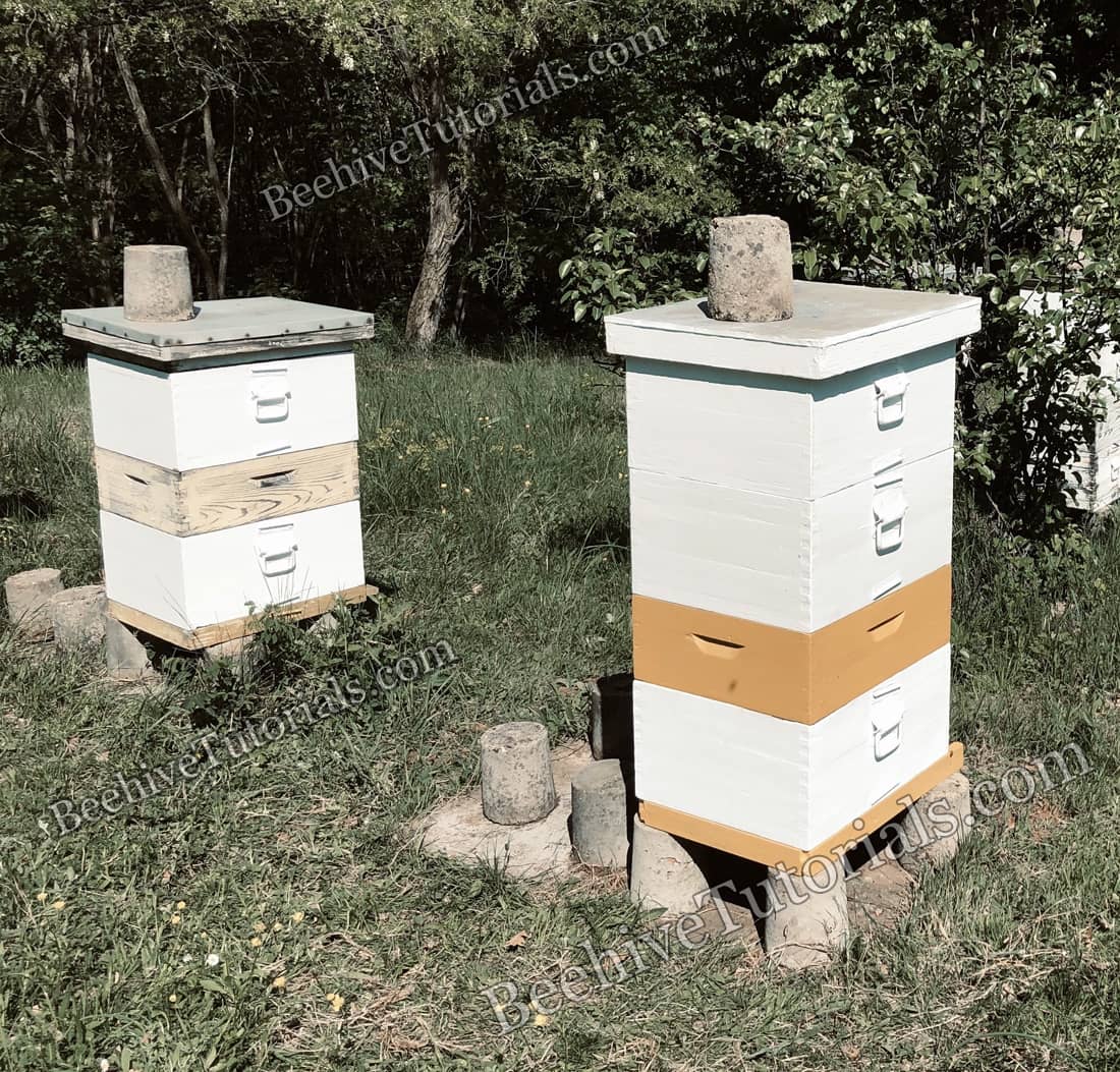 Two beehives different sizes 